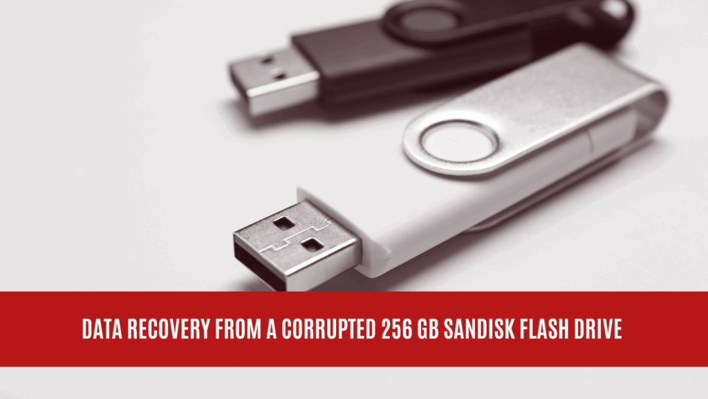 Data Recovery from a Corrupted 256 GB Sandisk Flash Drive