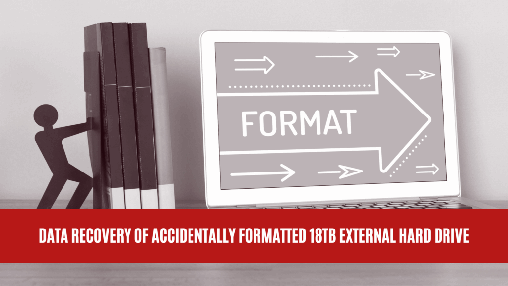 Data Recovery of Accidentally Formatted 18TB External Hard Drive Data Recovery of Accidentally Formatted 18TB External Hard Drive